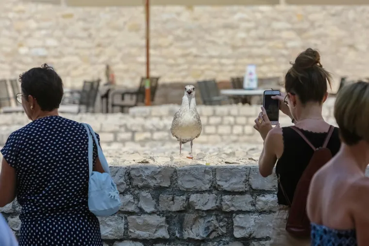 U moru, u hladu, pod kapom ili čak ki&scaron;obranom: Toplotni val i dalje udara, a evo kako se danas uživa u ljetu