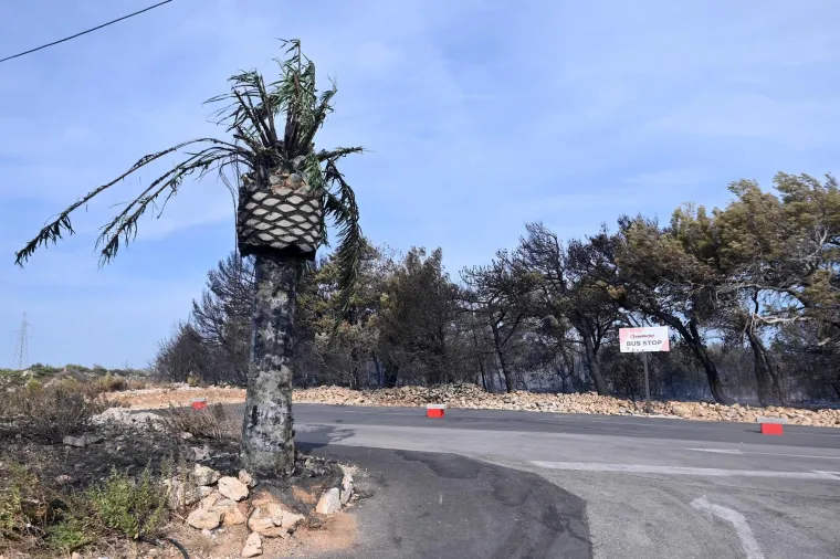 Pogledajte kako izgleda Zrće nakon vatrene stihije: Iz klubova evakuirane tisuće partijanera