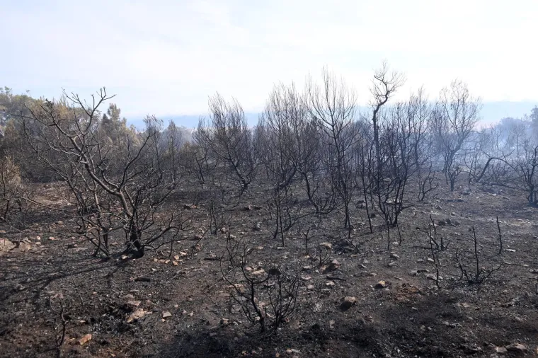 Pogledajte kako izgleda Zrće nakon vatrene stihije: Iz klubova evakuirane tisuće partijanera