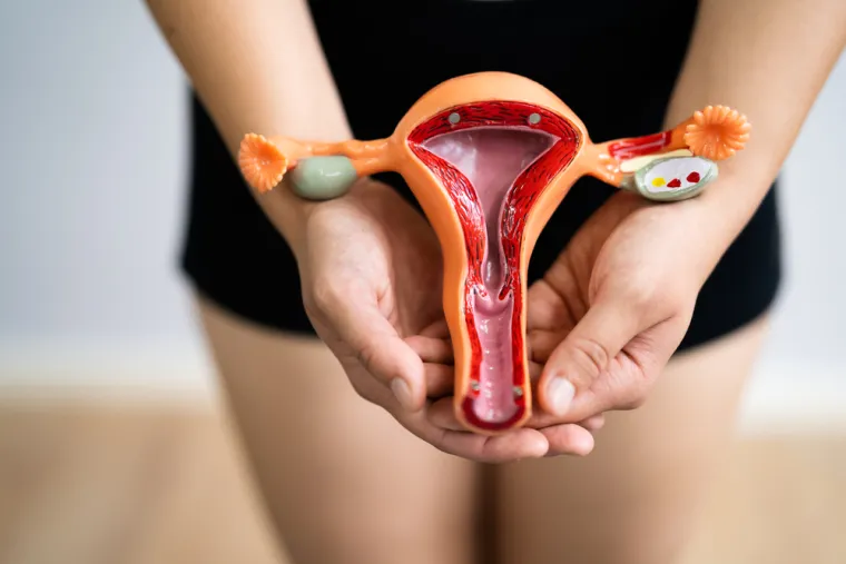 7 Neravnoteža estrogena
Dr. Viswanathana ističe:  &quot;Poremećaj spolnih steroida (estrogena) kod žena može dovesti do neredovitih ciklusa, neplodnosti. Uobičajen hormonski poremećaj jajnika je PCOS (sindrom policističnih jajnika).
