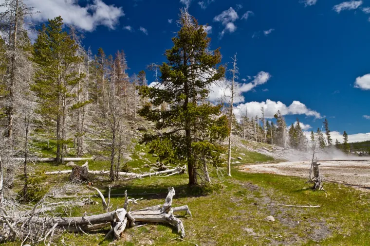 Nacionalni park Yellowstone, koji se uglavnom nalazi u Wyomingu, prostire se na 3500 četvornih milja i prepun je divljih životinja, zapanjujućeg krajolika i više od polovice aktivnih gejzira na svijetu.
