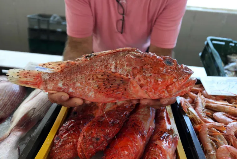 7. Kontakt s otrovnim ribama: U Jadranskom moru prebivaju otrovne ribe, a za turiste, kupače, ronioce i ribolovce najvažnije su ribe koje imaju otrovne bodlje u perajama, repu ili na škržnim poklopcima, te ribe otrovnog ugriza.U prvu skupinu riba spadaju ribe paukovke (pauk žutac, crnac, bijelac i mrkulj) koje najčešće borave na pjeskovitom dnu, zatim škarpinke (škarpina, škrpun, crvena škrpinica, itd.) i ražolike ribe (golub kosir, raža žutulja, itd.). Njihov je otrov vrlo jak (osobito najmanjeg, ali najotrovnijeg pauka žutca), a po djelovanju je sličan zmijskom otrovu. 