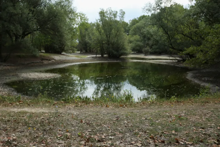 Ovo jako dugo nije viđeno u Zagrebu! Savu se na nekim mjestima čak može i prehodati, na Bundeku se vidi dno