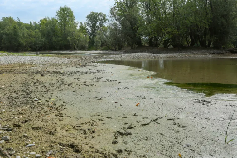 Ovo jako dugo nije viđeno u Zagrebu! Savu se na nekim mjestima čak može i prehodati, na Bundeku se vidi dno