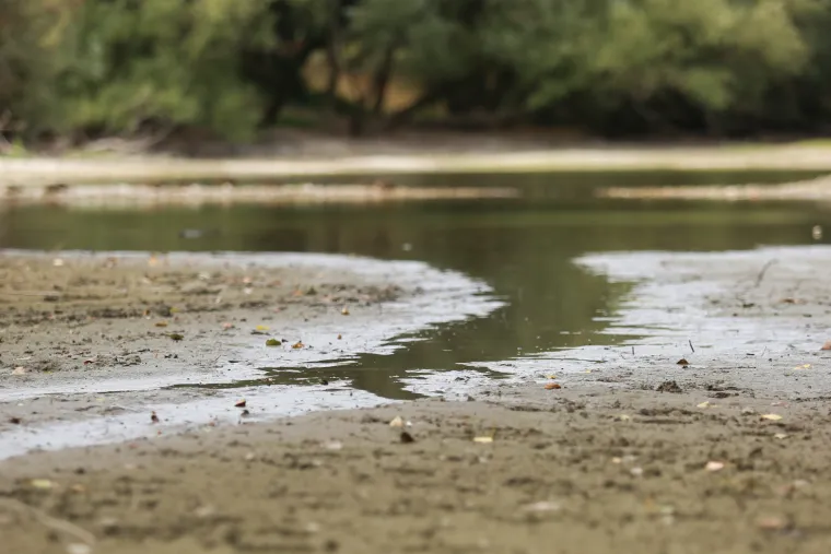Ovo jako dugo nije viđeno u Zagrebu! Savu se na nekim mjestima čak može i prehodati, na Bundeku se vidi dno
