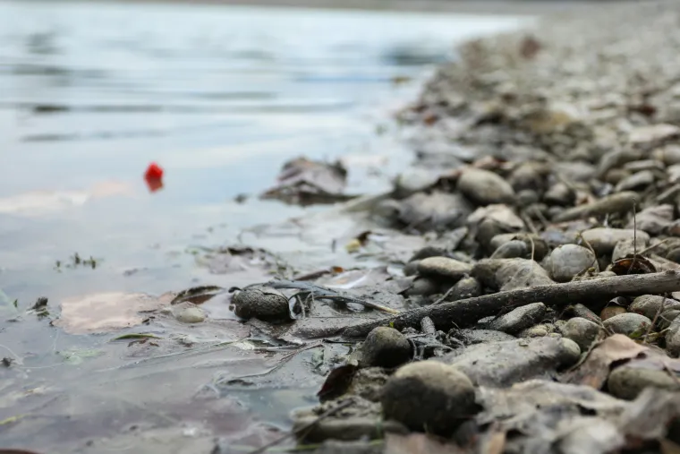 Ovo jako dugo nije viđeno u Zagrebu! Savu se na nekim mjestima čak može i prehodati, na Bundeku se vidi dno