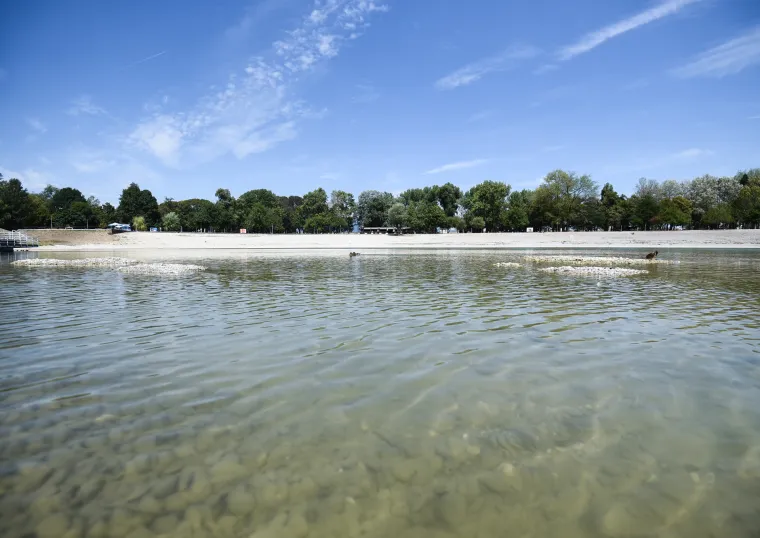 Jezero Bundek gotovo presušilo! Ostalo tek nekoliko centimetara vode, a patkice se više ne mogu kupati...