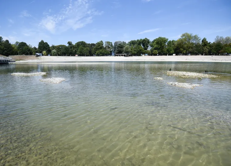 Jezero Bundek gotovo presušilo! Ostalo tek nekoliko centimetara vode, a patkice se više ne mogu kupati...