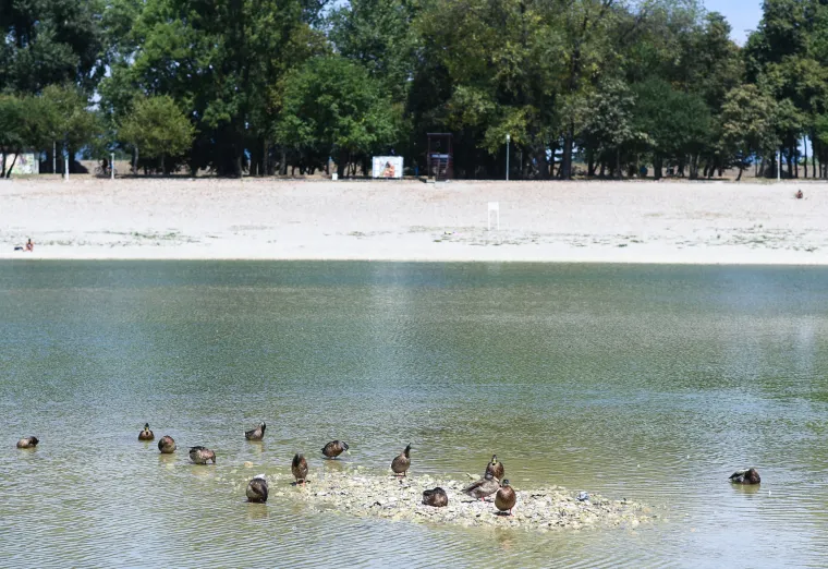 Jezero Bundek gotovo presušilo! Ostalo tek nekoliko centimetara vode, a patkice se više ne mogu kupati...