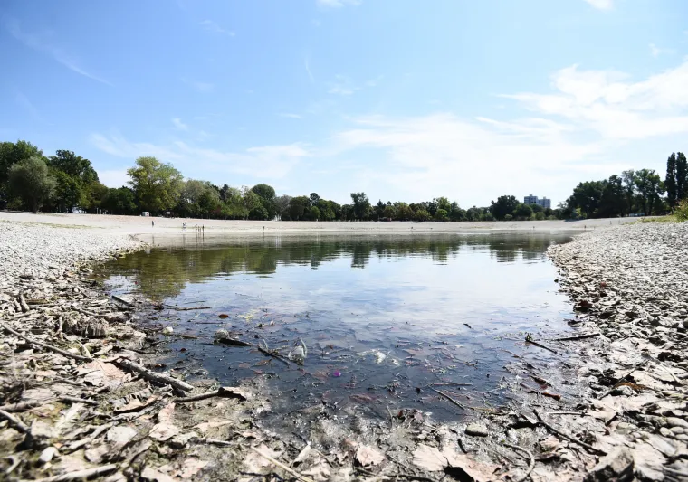 Jezero Bundek gotovo presušilo! Ostalo tek nekoliko centimetara vode, a patkice se više ne mogu kupati...