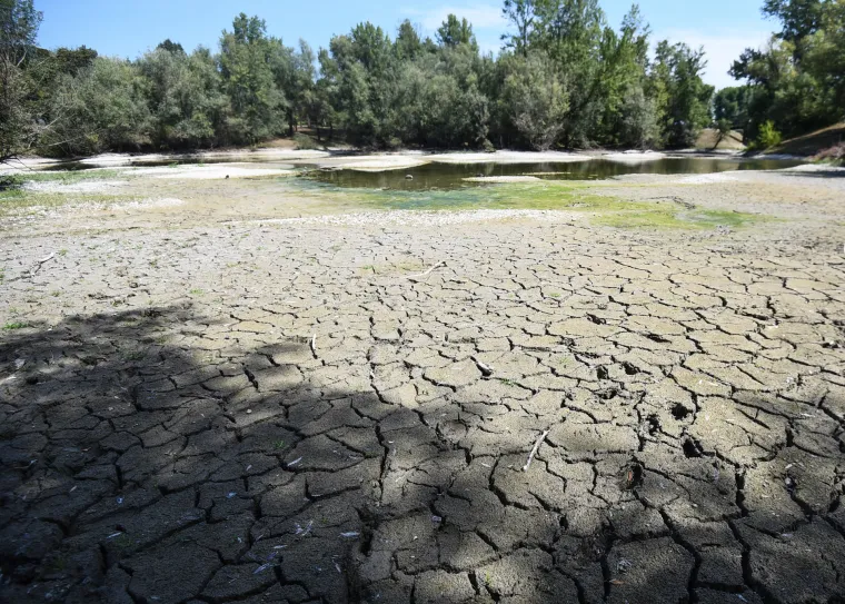 Jezero Bundek gotovo presušilo! Ostalo tek nekoliko centimetara vode, a patkice se više ne mogu kupati...