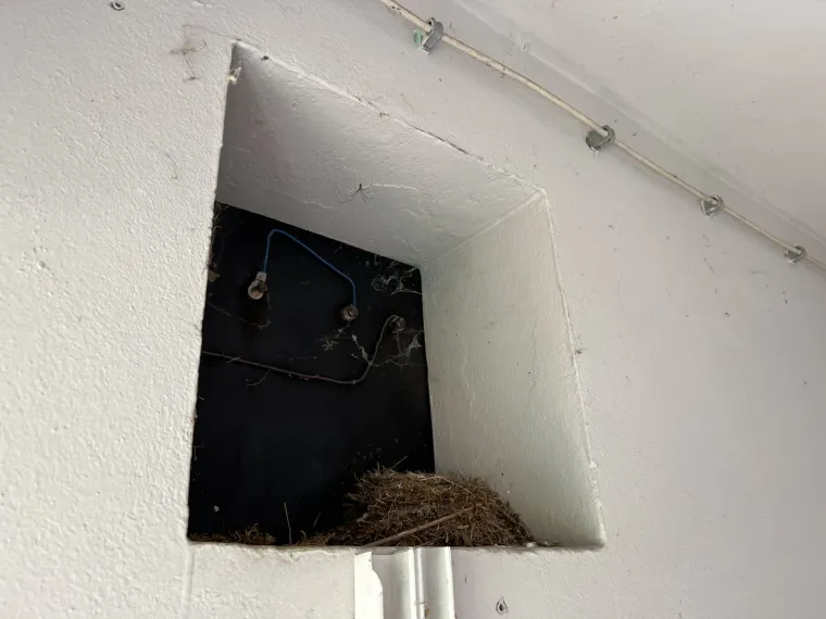 Ovo je postaja HŽ-a u kojoj putnici čekaju vlak: Ruglo od kojeg čovjeka hvata jeza nije se obnovilo već godinama