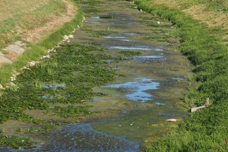 Rijeka Vuka koja se u Vukovaru ulijeva u Dunav gotovo da je presu&scaron;ila.