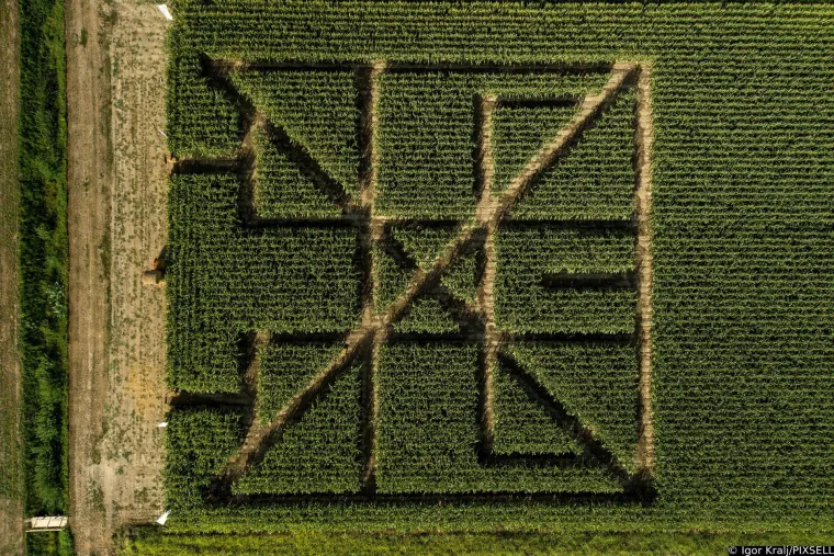 Pogledajte kako izgleda kukuruzna njiva snimljena iz zraka