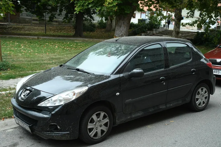 Pijesak i pra&scaron;ina prekrili automobile u Sisku: Pogledajte fotografije