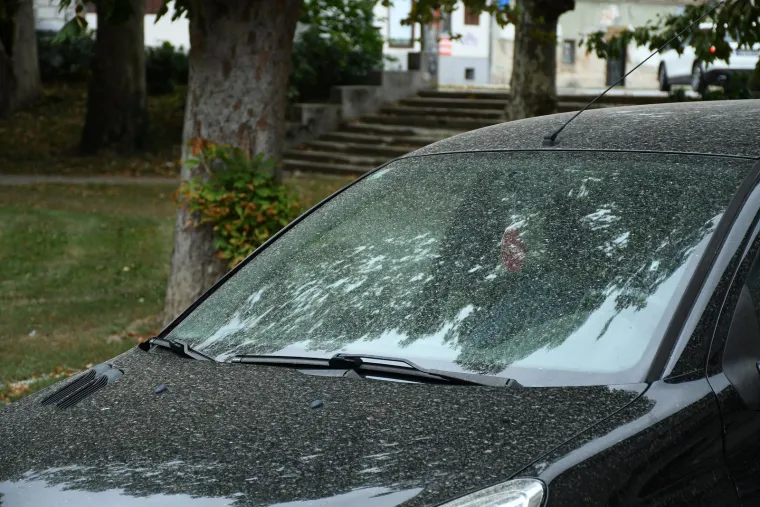 Pijesak i pra&scaron;ina prekrili automobile u Sisku: Pogledajte fotografije