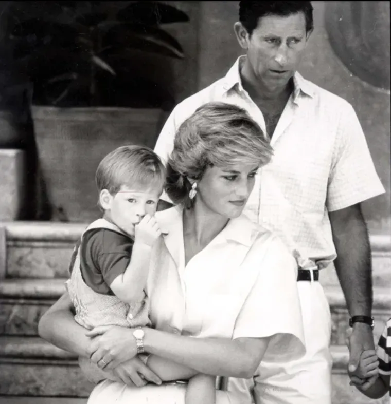 4. Uklonila je glagol &quot;pokoriti se&quot; iz vlastitih vjenčanih zavjeta.

Kad se udala za princa Charlesa u srpnju 1981., Diana je postala prva kraljevska nevjesta koja je izostavila riječ &quot;obey&quot; (pokoravanje) iz svojih zavjeta. Tri desetljeća kasnije, William i Kate slijedili su primjer buntovne princeze.