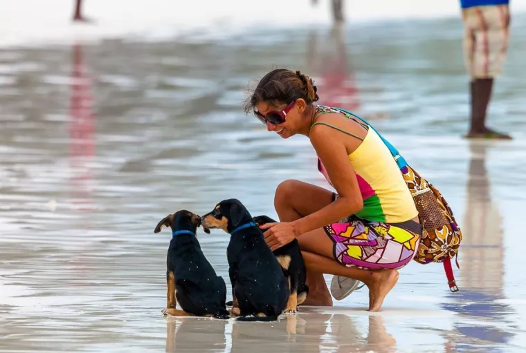 "Gledajući svoje stare platne liste, otkrila sam da sam uplatila &scaron;est privatnih mirovina tijekom svoje karijere. Čak i kad sam im u&scaron;la u trag, nisam znala je li najbolje da ih sve držim odvojeno ili ih spojim. Čak sam razgovarala s telefonskom linijom za pomoć o svojim doprinosima za nacionalno osiguranje i iako su rekli da mogu vratiti neke od njih, nisam si to mogla priu&scaron;titi", dodala je.
