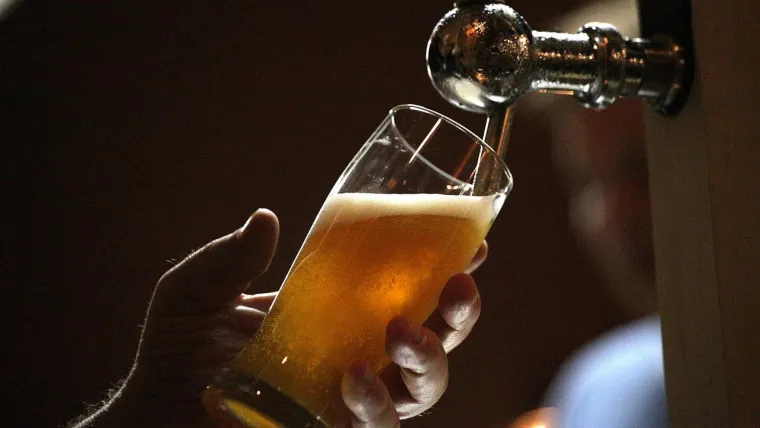 Pivo