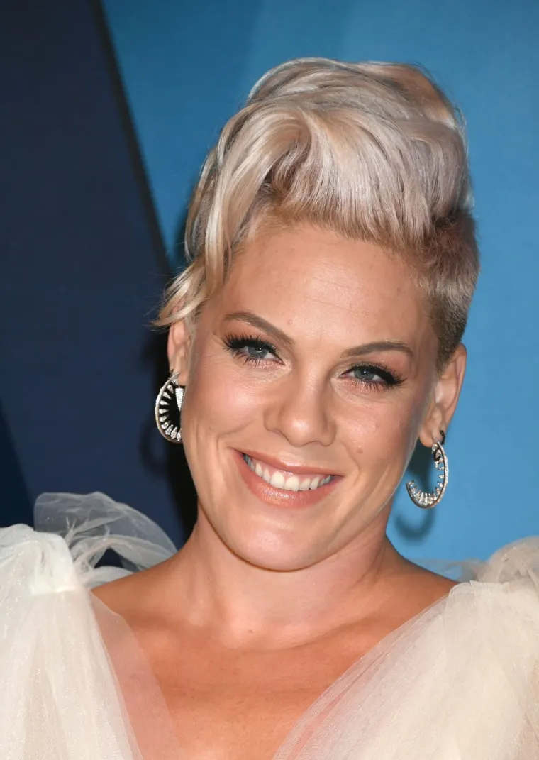 Alecia Beth Moore, poznatija kao Pink, rođena je 8. rujna u Doylestownu u saveznoj državi Pennsylvaniji. Njezina majka, Judy, bila je medicinska sestra, a otac James Moore Jr. vijetnamski veteran. On je bio katolik, a ona Židovka. S obzirom na to da su se njeni roditelji često svađali, djetinjstvo ove popularne pjevačice bilo je daleko od sretnog. 
