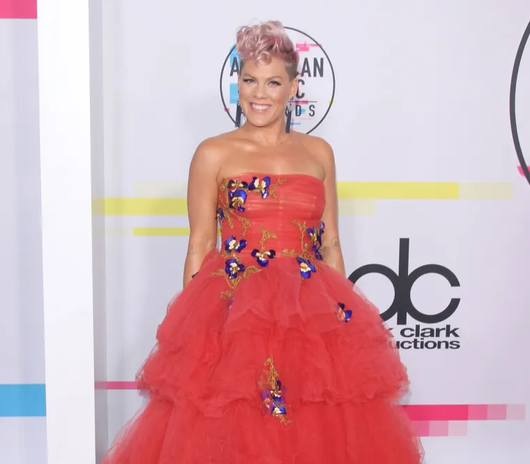 Pink: Pravo ime joj je  Alecia Beth Moore. 