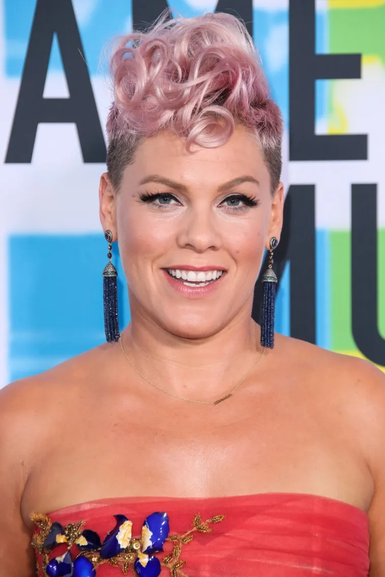 Do danas je Pink ostala jedna od najpopularnijih pjevačica, a tijekom zavidne karijere prodala je više od 90 milijuna albuma, osvojila tri Grammyja, dvije nagrade Brit te sedam nagrada MTV Video Music.

