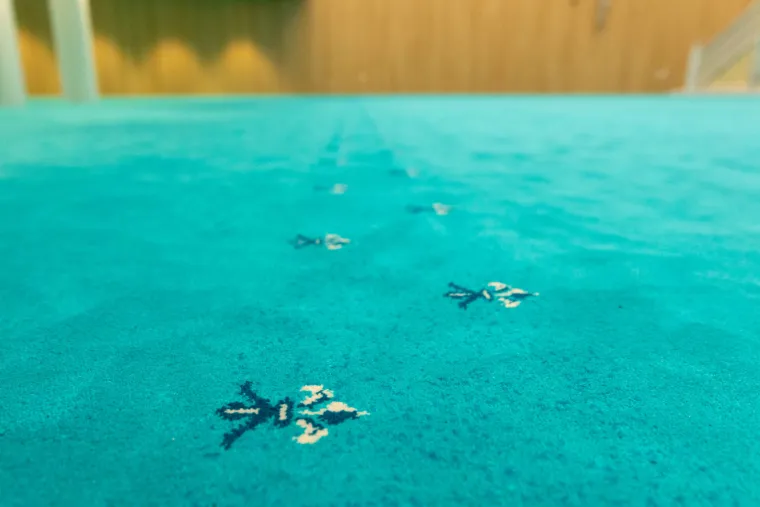 EKSKLUZIVNO Turski mramor i 24-karatno zlato: Pogledajte kako izgleda unutra&scaron;njost sisačke džamije