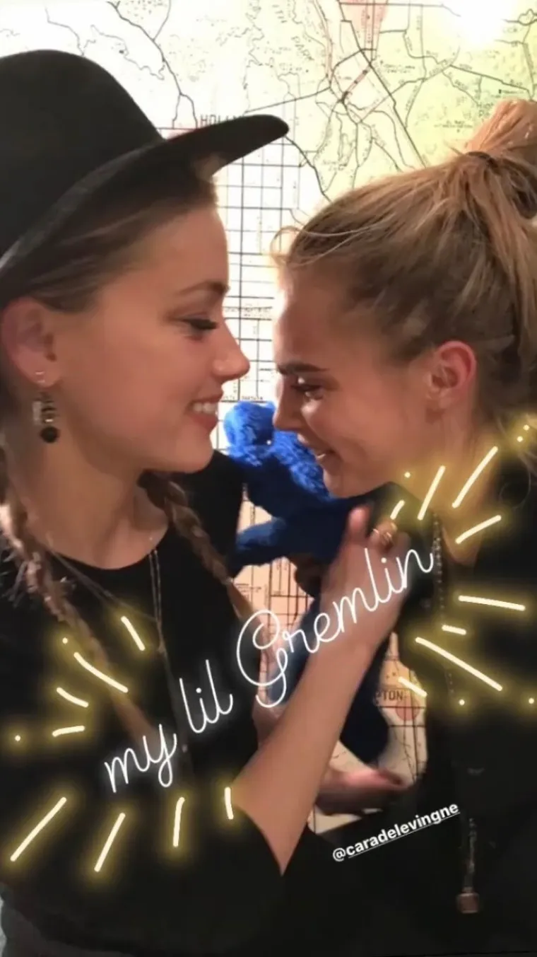 Prije nego što se manekenka dovela u loše stanje često se zabavljala s najboljom prijateljicom Amber Heard, njih dvije su često tulumarile što je smetalo tadašnjem Amberinom suprugu, Johnnyju Deppu. &quot;Nije pomoglo to što Johnny nije mogao podnijeti Caru. Smatrao ju je odvratnom i bez poštovanja te je tražio od svog osoblja da ga upozori kada će ona biti u blizini. Nije mu se svidjelo dosta Amberinih prijatelja, ali posebno je mrzio Caru. Prijateljstvo njegove supruge s njom ga je stvarno počelo izluđivati&quot;, ispričao je izvor za Daily Mail.