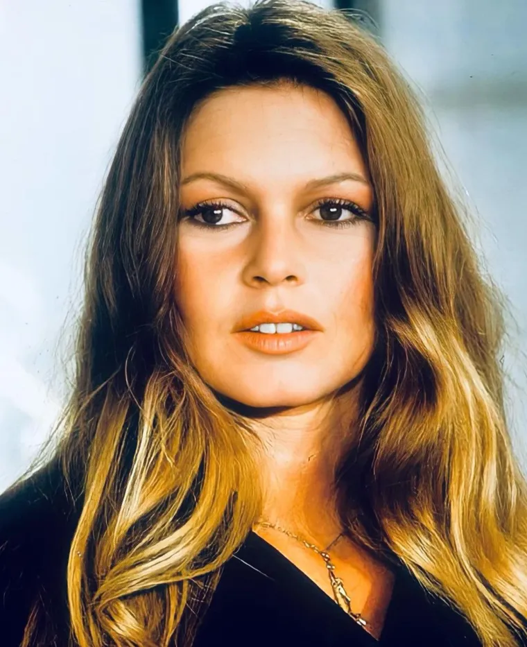 Nakon pokušaja ubojstva, Brigitte se trudila živjeti u sjeni, izbjegavala je medije, a 1966. godine udala se treći put za njemačkog milijunaša Guntera Sachsa. Ipak, ljubav nije trajala vječno te su se rastali nakon tri godine, a bez obzira na sve, njihova veza bila joj je jedna od najdražih uspomena. 
