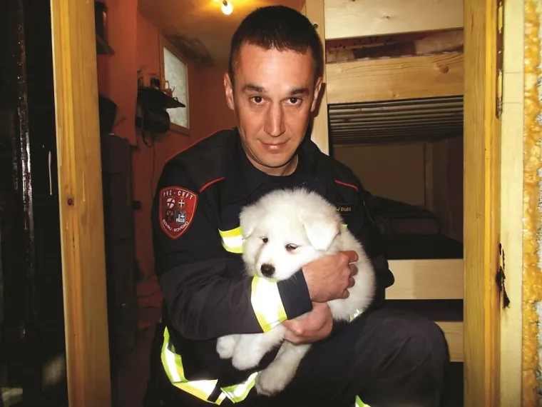 Halo, vatrogasci! Izvlačili zmije, lovili odbjeglog majmuna iz zoolo&scaron;kog, spa&scaron;avali zalutalu iguanu...
