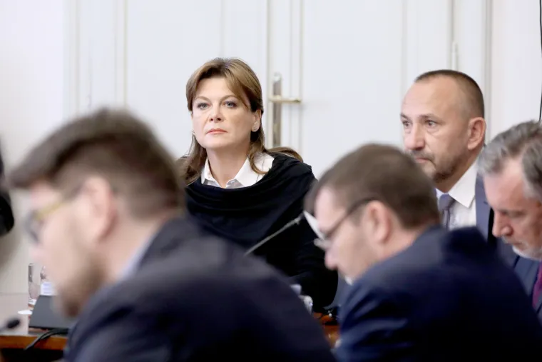Povišeni tonovi, uvrede i cirkus na sjednici Odbora za Ustav. Bauk se ukrcao na taj vlak: 'Kršimo epidemiološke mjere'
