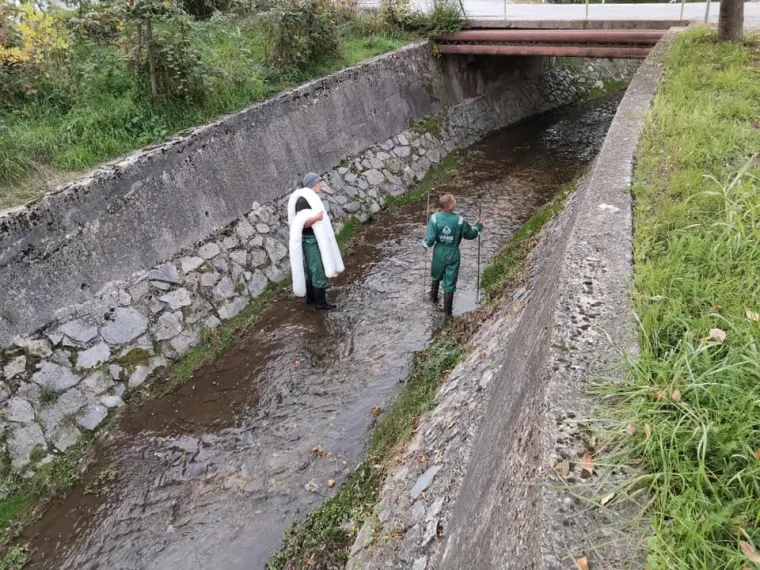 Pogledajte kako je sinoć izgledao potok u Vrapču koji je prekrila gusta pjena. Isplivale su i mrtve ribe