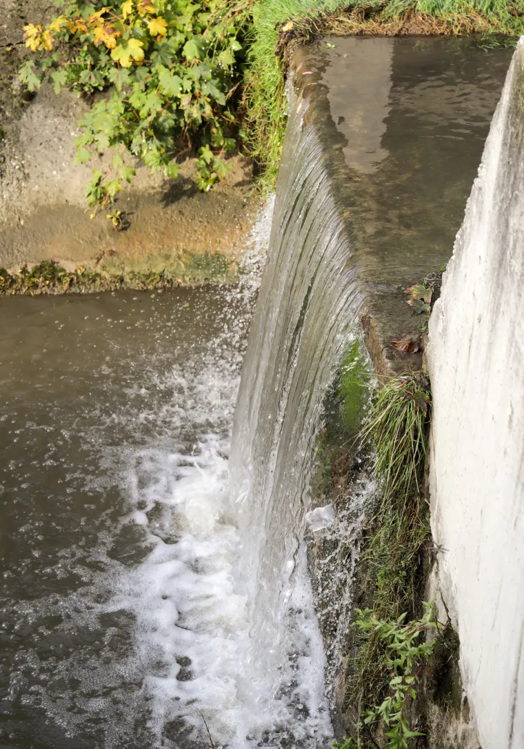 Pogledajte kako je sinoć izgledao potok u Vrapču koji je prekrila gusta pjena. Isplivale su i mrtve ribe