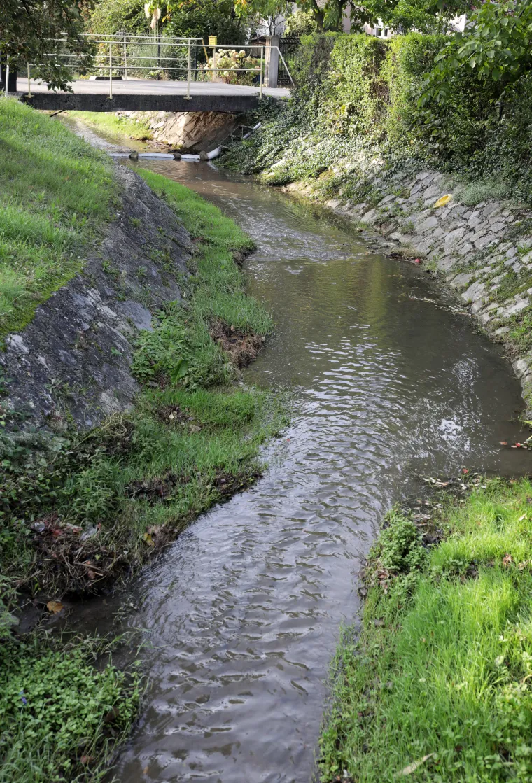 Pogledajte kako je sinoć izgledao potok u Vrapču koji je prekrila gusta pjena. Isplivale su i mrtve ribe