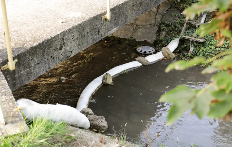 Pogledajte kako je sinoć izgledao potok u Vrapču koji je prekrila gusta pjena. Isplivale su i mrtve ribe