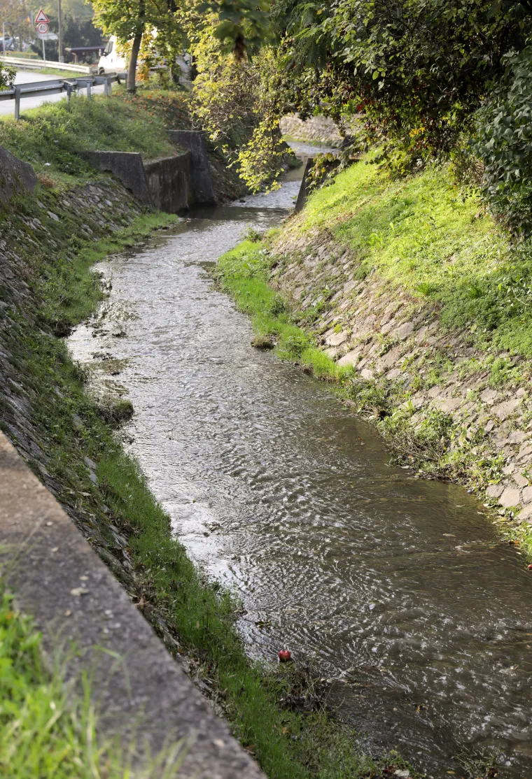 Pogledajte kako je sinoć izgledao potok u Vrapču koji je prekrila gusta pjena. Isplivale su i mrtve ribe