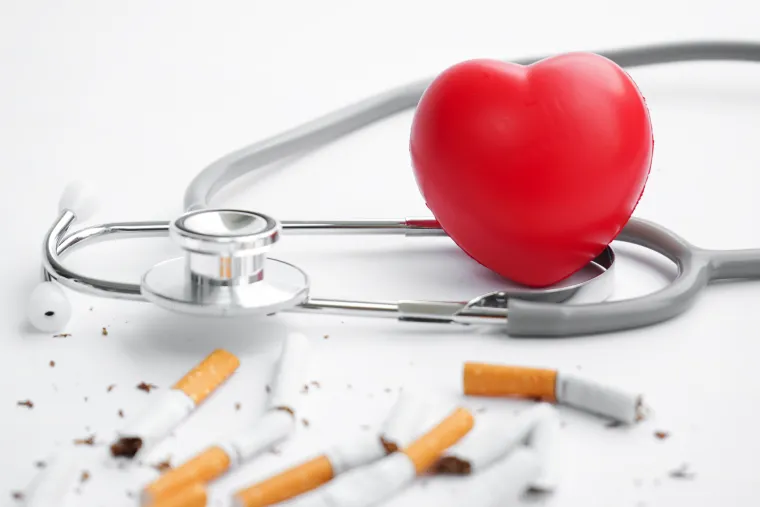 24 sata nakon zadnje popušene cigarete: U samo 24 sata značajno će se smanjiti rizik od srčanog udara, a veća razina kisika pomoći će srcu da funkcionira kako treba. U ovom trenutku se i razina nikotina u krvotoku drastično smanjila. 