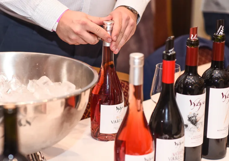 Tolu&scaron;ić i &Scaron;koro podigli ča&scaron;e! Biv&scaron;i ministar osumnjičen za malverzacije upravo oko vinarije, danas na festivalu