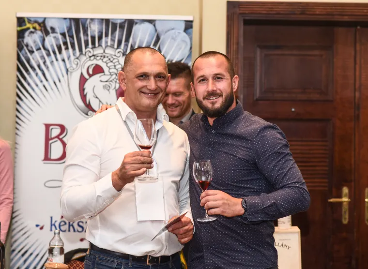 Tolu&scaron;ić i &Scaron;koro podigli ča&scaron;e! Biv&scaron;i ministar osumnjičen za malverzacije upravo oko vinarije, danas na festivalu