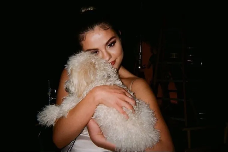 Selena Gomez ima dva psa - Winnie i Daisy, a oba su joj pomogla tijekom njene borbe s depresijom: &quot;Napokon sam postala svjesna da imam psihičkih problema i, iskreno, za mene je to bilo pravo olakšanje. Shvatila sam da postoji način da dobiješ prijeko potrebnu pomoć i da pronađeš ljude kojima vjeruješ. Dobila sam i prave lijekove, a moj se život u potpunosti promijenio. Trebala sam vrijeme za sebe. Uživam na kraju dana otići u svoju sobu. Samo ja i moj pas. Sama sam već više od dvije godine i to mi više ne predstavlja nikakav problem&quot;, rekla je jednom prilikom. 