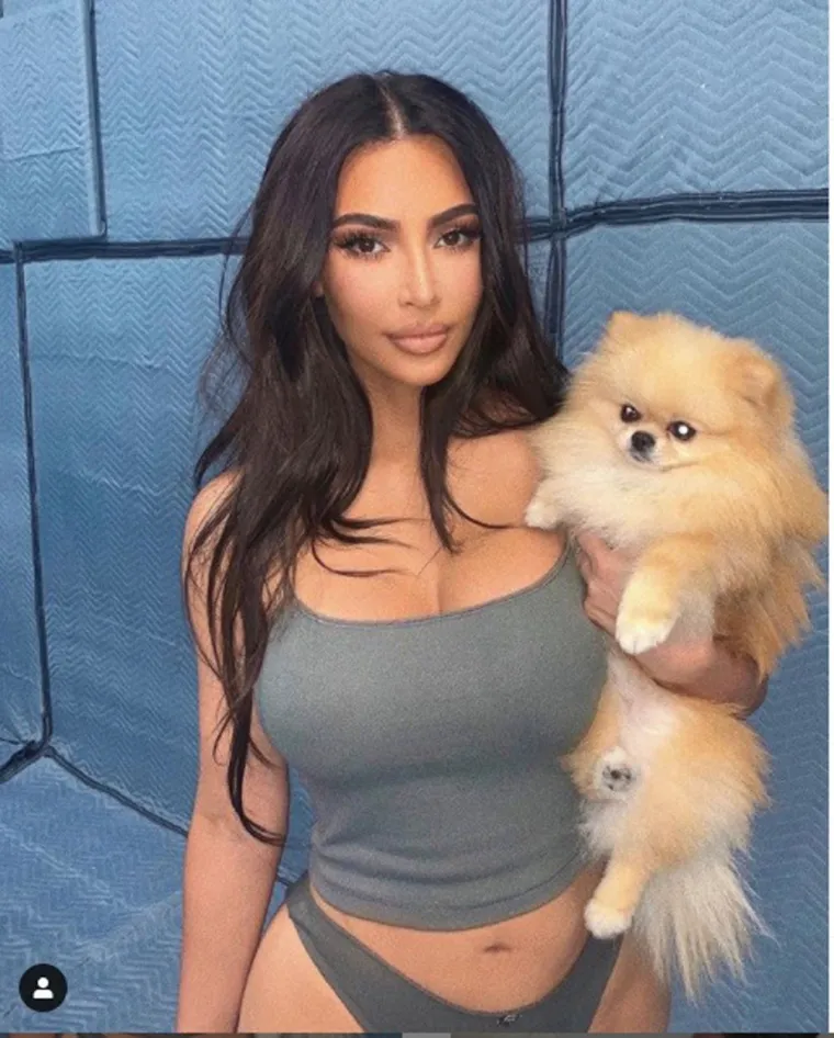 Iako sa svojom pomerankom Sushi često pozira, Kim Kardashian je u nekoliko navrata otkrila kako zapravo s njom ne može izaći na kraj. 
&quot;Za svoje duševno zdravlje, sve što sam htjela bio je miran pas&quot;, rekla je jednom. 
