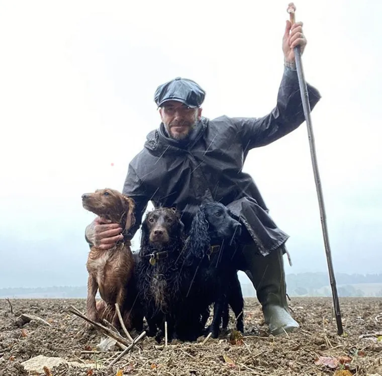 I David Bechkam ponosan je vlasnik tri psa s kojima često pozira na Instagramu.