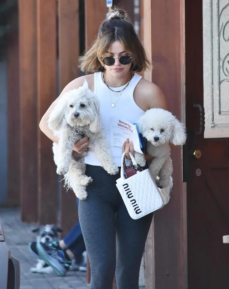 Lucy Hale često je u šetnji sa svoja dva dlakava prijatelja - Elvisom i Ethel. 