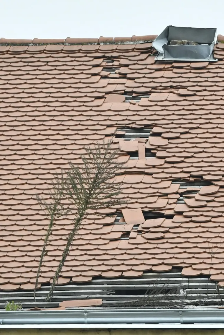 Koliko se dugo čeka obnova nakon potresa u Sisku? Iz jednog o&scaron;tećenog krova nikla su stabla