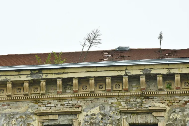 Koliko se dugo čeka obnova nakon potresa u Sisku? Iz jednog o&scaron;tećenog krova nikla su stabla