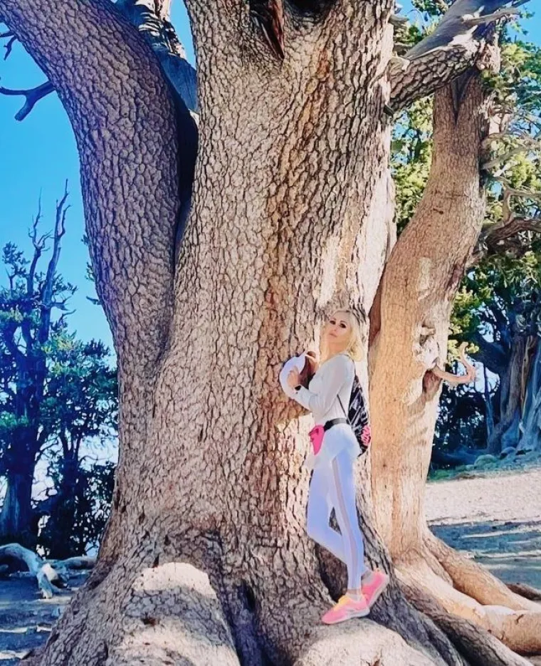 'Prva jugoslovenska starleta' je izlazila s brojnim celebovima, a navodno je bila u vezi s Al Pacinom i Bregom