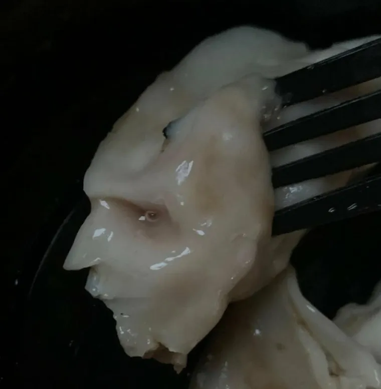 Knedla koja definira pareidoliju