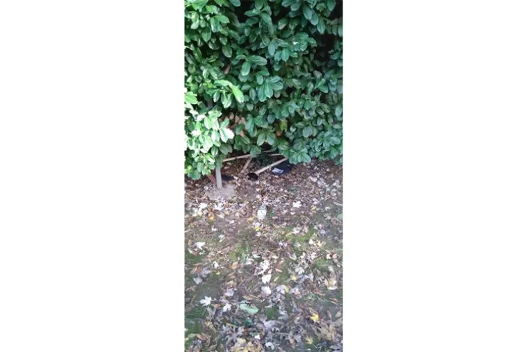 Oko 100 huligana nemilosrdno se obračunalo, jedan ima ozljede opasne po život: Policija objavila fotografije, pogledajte čime su se sve mlatili