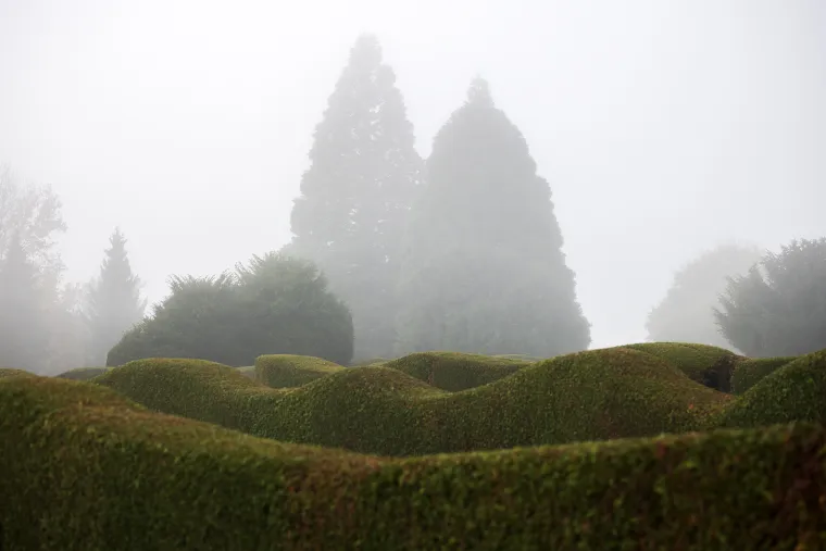 Čakovečko groblje na blagdan Svih svetih. 