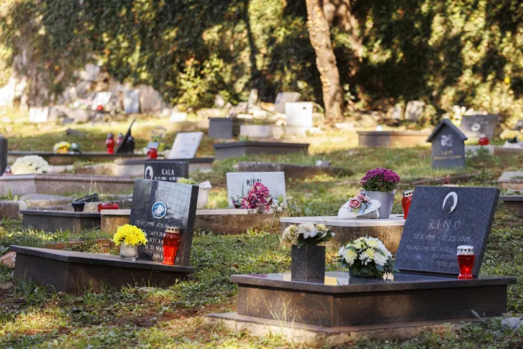 Nisu ih zaboravili: Na Sve svete pale se svijeće i ostavlja cvijeće i za kućne ljubimce
